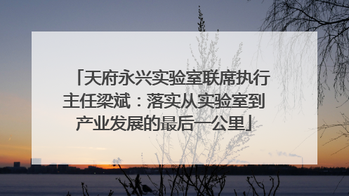 天府永兴实验室联席执行主任梁斌：落实从实验室到产业发展的最后一公里