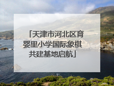 天津市河北区育婴里小学国际象棋共建基地启航