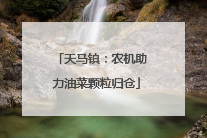 天马镇：农机助力油菜颗粒归仓
