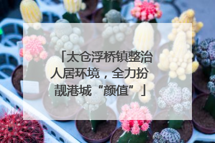 太仓浮桥镇整治人居环境，全力扮靓港城“颜值”