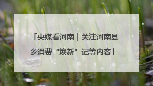 央媒看河南｜关注河南县乡消费“焕新”记等内容
