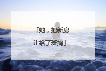 她，把新房让给了斑鸠