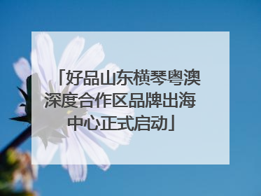 好品山东横琴粤澳深度合作区品牌出海中心正式启动
