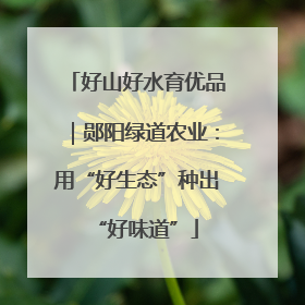 好山好水育优品｜郧阳绿道农业：用“好生态”种出“好味道”