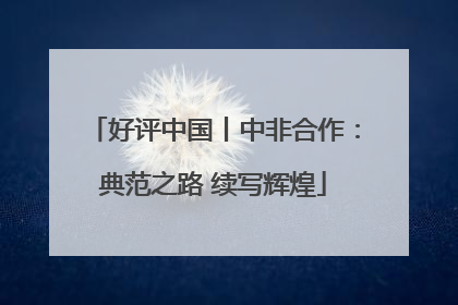 好评中国丨中非合作：典范之路 续写辉煌