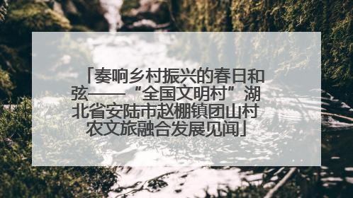 奏响乡村振兴的春日和弦——“全国文明村”湖北省安陆市赵棚镇团山村农文旅融合发展见闻