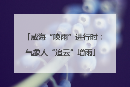 威海“唤雨”进行时：气象人“追云”增雨