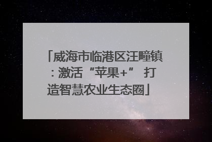 威海市临港区汪疃镇：激活“苹果+” 打造智慧农业生态圈