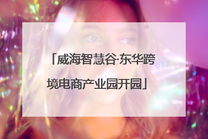 威海智慧谷·东华跨境电商产业园开园
