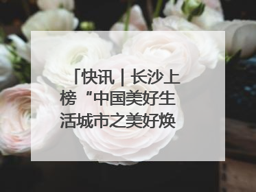 快讯｜长沙上榜“中国美好生活城市之美好焕新典范城市”