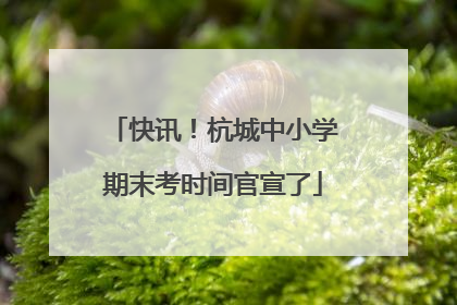 快讯！杭城中小学期末考时间官宣了