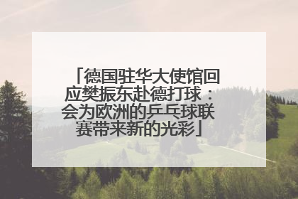 德国驻华大使馆回应樊振东赴德打球：会为欧洲的乒乓球联赛带来新的光彩