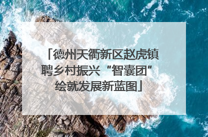德州天衢新区赵虎镇聘乡村振兴“智囊团” 绘就发展新蓝图