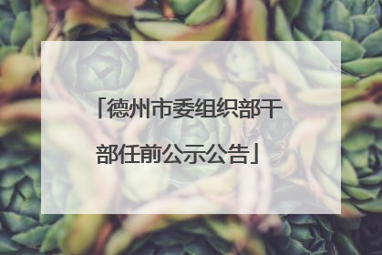 德州市委组织部干部任前公示公告