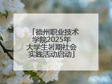 德州职业技术学院2025年大学生暑期社会实践活动启动