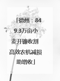 德州：849.3万亩小麦开镰收割 高效农机减损助增收
