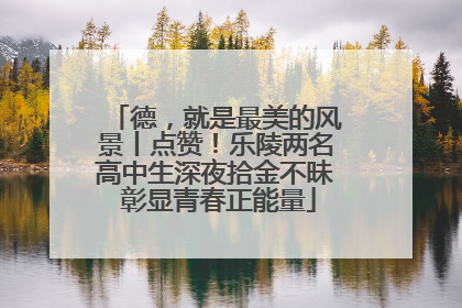 德，就是最美的风景丨点赞！乐陵两名高中生深夜拾金不昧 彰显青春正能量