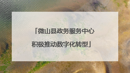 微山县政务服务中心积极推动数字化转型
