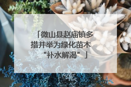 微山县赵庙镇多措并举为绿化苗木“补水解渴”