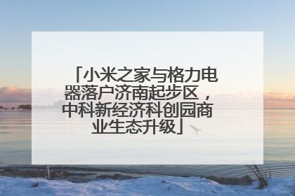小米之家与格力电器落户济南起步区，中科新经济科创园商业生态升级