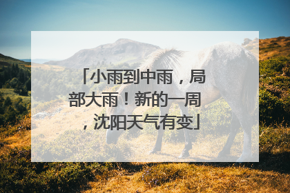 小雨到中雨，局部大雨！新的一周，沈阳天气有变