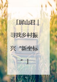 屏山君｜寻找乡村振兴“新坐标”