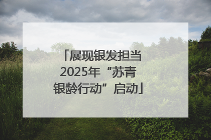 展现银发担当 2025年“苏青银龄行动”启动