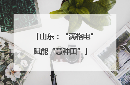 山东：“满格电”赋能“慧种田”