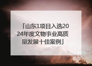 山东1项目入选2024年度文物事业高质量发展十佳案例
