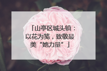山亭区城头镇：以花为笺，致敬最美“她力量”