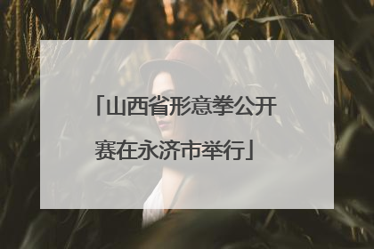 山西省形意拳公开赛在永济市举行