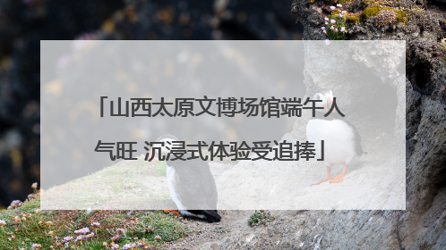 山西太原文博场馆端午人气旺 沉浸式体验受追捧
