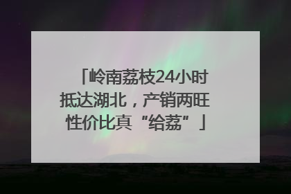 岭南荔枝24小时抵达湖北，产销两旺性价比真“给荔”