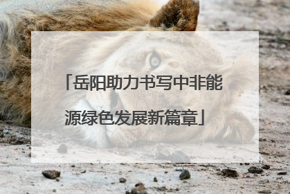 岳阳助力书写中非能源绿色发展新篇章