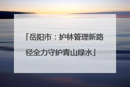 岳阳市：护林管理新路径全力守护青山绿水