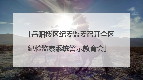 岳阳楼区纪委监委召开全区纪检监察系统警示教育会
