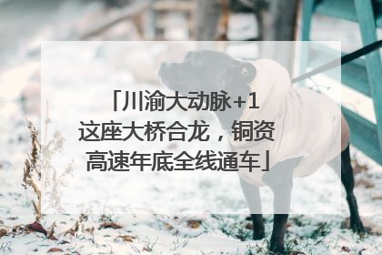 川渝大动脉+1 这座大桥合龙，铜资高速年底全线通车