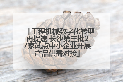 工程机械数字化转型再提速 长沙第三批27家试点中小企业开展产品供需对接