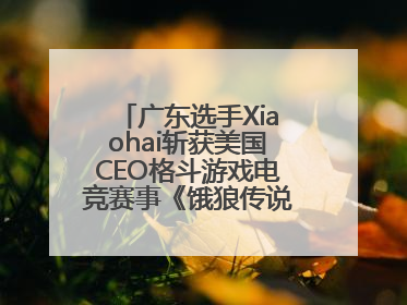 广东选手Xiaohai斩获美国CEO格斗游戏电竞赛事《饿狼传说》项目冠军