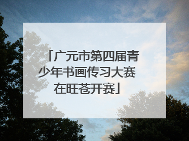 广元市第四届青少年书画传习大赛在旺苍开赛