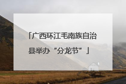 广西环江毛南族自治县举办“分龙节”