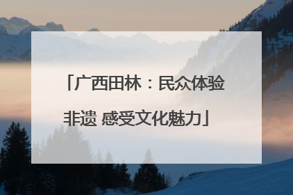 广西田林：民众体验非遗 感受文化魅力