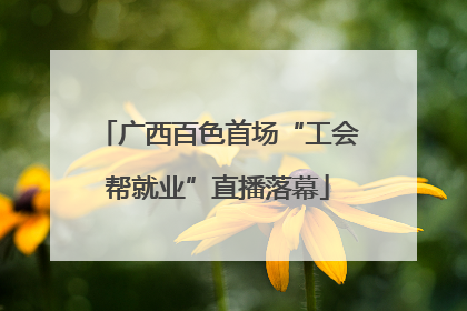 广西百色首场“工会帮就业”直播落幕