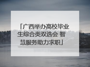 广西举办高校毕业生综合类双选会 智慧服务助力求职