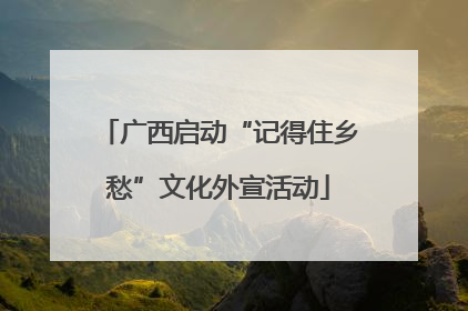 广西启动“记得住乡愁”文化外宣活动