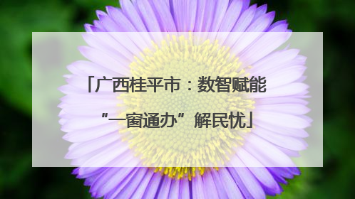 广西桂平市：数智赋能“一窗通办”解民忧