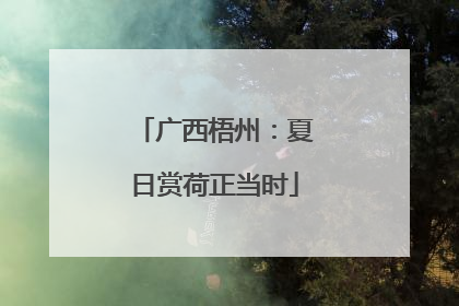 广西梧州：夏日赏荷正当时