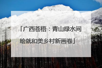 广西苍梧：青山绿水间绘就和美乡村新画卷