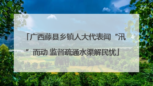 广西藤县乡镇人大代表闻“汛”而动 监督疏通水渠解民忧