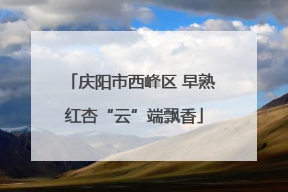 庆阳市西峰区 早熟红杏“云”端飘香